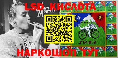 гидра Будённовск
