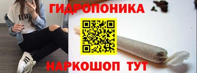 гидра Будённовск