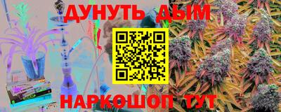 гидра Будённовск