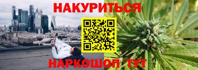 гидра Будённовск