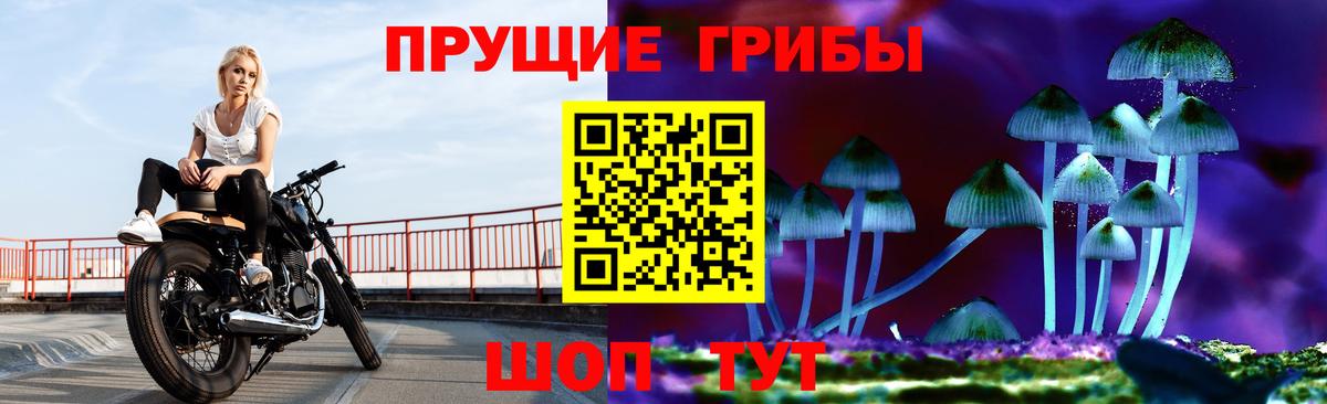 Псилоцибиновые грибы мухоморы  Вход с VPN  Киселёвск 